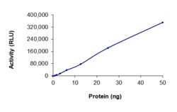 Sino Biological&nbsp;Recombinant Human ITK Protein (GST Tag), Active
