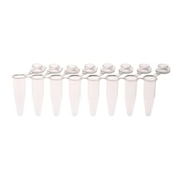 CELLTREAT Scientific Products PCR 8-Strip Tubes, 0.2mL, Separable, Attached Flat Caps, Clear
