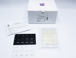 Liofilchem&trade;&nbsp;AD Mecillinam 0.032-32