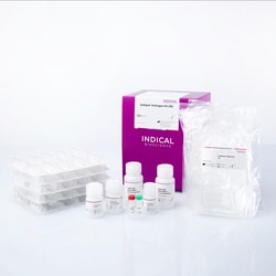 INDICAL INC&nbsp;INDISPIN PATHOGEN KIT 50