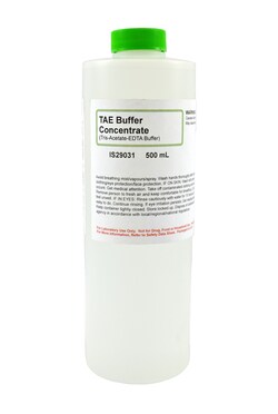 TAE Buffer (Tris-Acetate-EDTA Buffer) Concentrate, Innovating Science 500 mL | Buy Online | Aldon Corporation | Fisher Scientific