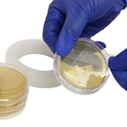 Micronova Irradiated Vinyl Cleanroom Tape Transparent | Buy Online | Micronova&trade; | Fisher Scientific