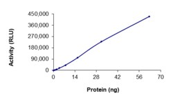 Sino Biological&nbsp;Recombinant Mouse JAK2 Protein (GST Tag), Active