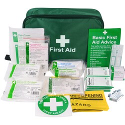 Safety First Aid&nbsp;Vehicle First Aid Kit in Nylon Case
