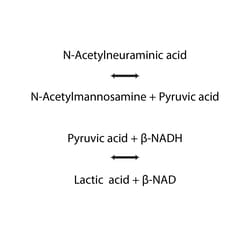 QA Bio Inc&nbsp;SialiQuant Sialic Acid Quantitation Kit