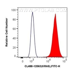 KRAS Rabbit, anti-Human, CoraLite Plus 488, Polyclonal, Proteintech Quantity: