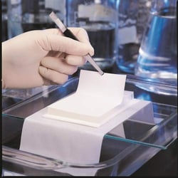 Cytiva FluoroTrans W PVDF Transfer Membrane - 10 x 15 cm sheets (10/pkg),