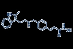 Selleck Chemical LLC Panobinostat (LBH589) 10mg 404950-80-7 NVP-LBH589,