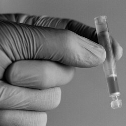 QA Bio Inc&nbsp;LudgerClean CEX cartridges - 6 cartridges