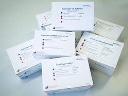 ILEX LIFE SCIENCES LLC&nbsp;EndoTrap HD 10, 10 mL settled resin, Affinity chromatography endotoxin (LPS) removal resin