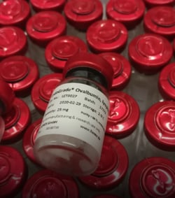 ILEX LIFE SCIENCES LLC EndoGrade Endotoxin-Free Ovalbumin, lyophilized,