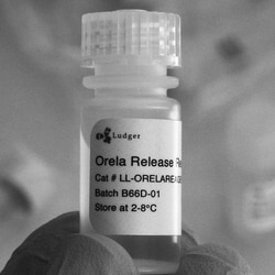 QA Bio Inc QA-Bio, Inc. • Ludger ORELA O-Linked Glycan Deglycosylation