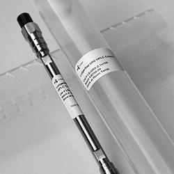 QA Bio Inc QA-Bio, Inc. • LudgerSep R2 4.6x150mm HPLC Column for Glycan