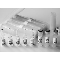 QA Bio Inc QA-Bio, Inc. • LudgerTag DMB Sialic Acid Labeling Kit, Quantity: