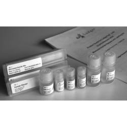 QA Bio Inc&nbsp;QA-Bio, Inc. • LudgerTag Monosaccharide Analysis Kit