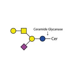 QA Bio Inc Ludger Ceramide glycanase, Quantity: Pack of 1