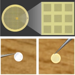 Mitegen Au-Flat TEM Grid, 2µm Hole Pattern on 200 Gold Mesh, For Cryo-EM Sample Preparation, Box of 5