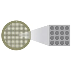 Mitegen C-flat Holey Carbon TEM Grid, 1.2/1.3µm Hole Pattern, 300 Copper Mesh, 20nm Thickness, 50/Pack