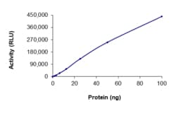 Sino Biological&nbsp;Recombinant Human MEK1 Protein (Full Length, GST Tag), Active