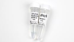 New England Biolabs, Inc.&nbsp;yDcpS – 4000 units