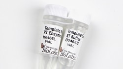 New England Biolabs, Inc. Template Switching RT Enzyme Mix – 100 reactions,