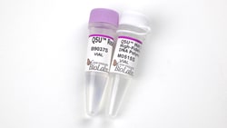 New England Biolabs, Inc. Q5U™ Hot Start High-Fidelity DNA Polymerase – 100 units