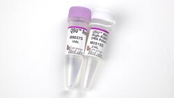 New England Biolabs, Inc. Q5U Hot Start High-Fidelity DNA Polymerase –