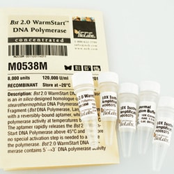 New England Biolabs, Inc. Bst 2.0 WarmStart DNA Polymerase – 8000 units,
