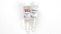 New England Biolabs, Inc. EnGen Sau Cas9 – 400 pmol, Quantity: Each of