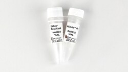 New England Biolabs, Inc. EnGen Seq1 Cas9 - 500 pmol, Quantity: Each of