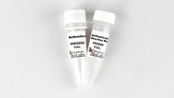 New England Biolabs, Inc. Authenticase - 125 reactions, Quantity: Each