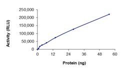 Sino Biological&nbsp;Recombinant Human MAP3K1 Protein (GST Tag), Active