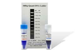 LAMDA BIOTECH INC 100 bp Quantitative DNA Ladder