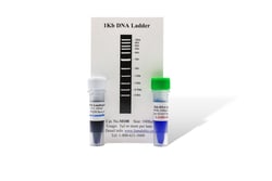 LAMDA BIOTECH INC 1Kb DNA Ladder, Quantity: Each of 1