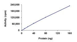 Sino Biological&nbsp;Recombinant Human MAP3K5/ASK1 Protein (GST Tag), Active