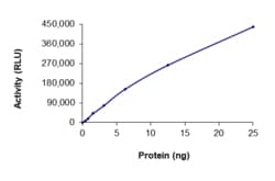 Sino Biological&nbsp;Recombinant Human MAP4K5 Protein (Full Length, GST Tag), Active