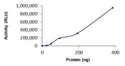 Sino Biological&nbsp;Recombinant Human MGRN1 Protein (GST Tag), Active