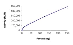 Sino Biological&nbsp;Recombinant Human ERK1/MAPK3 Protein (Full Length), Active