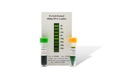 LAMDA BIOTECH INC PreSafeStained 100bP DNA Ladd, Quantity: Each of 1