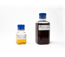Zymo Research Corporation Dual Media Set (100 ml EB & 500 ml OB) ^, Quantity: