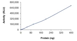 Sino Biological&nbsp;Recombinant Human METTL12 Protein (Full Length, GST Tag), Active