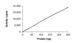 Sino Biological&nbsp;Recombinant Human JNK2 Protein (Full Length, GST Tag), Active