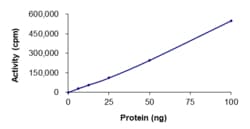 Sino Biological&nbsp;Recombinant Human P38 Gamma/MAPK12 Protein (Full Length, GST Tag), Active