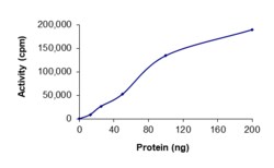 Sino Biological&nbsp;Recombinant Human p38 Protein (Full Length, GST Tag), Active