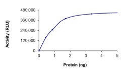 Sino Biological&nbsp;Recombinant Human MAPKAPK2/MK2 Protein (His Tag), Active