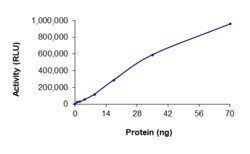 Sino Biological&nbsp;Recombinant Human Mark4 Protein (GST Tag), Active