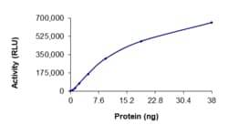 Sino Biological&nbsp;Recombinant Human MELK Protein (GST Tag), Active