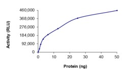 Sino Biological&nbsp;Recombinant Human Mer Protein (GST Tag), Active