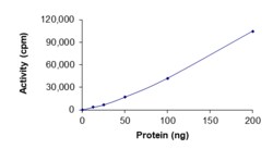 Sino Biological&nbsp;Recombinant Mouse Mer Protein (GST Tag), Active