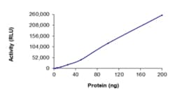 Sino Biological&nbsp;Recombinant Rat c-MET/HGFR Protein (GST Tag), Active